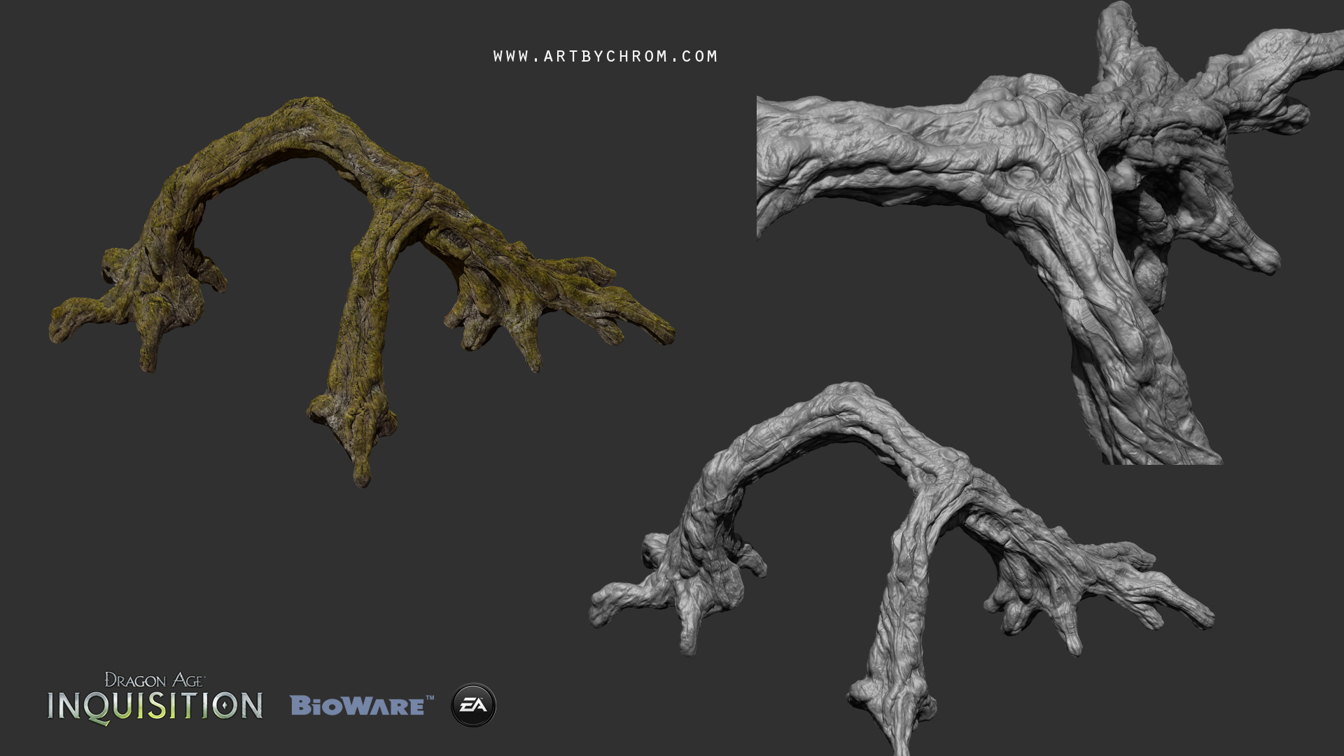 swamp_tree_005.jpg