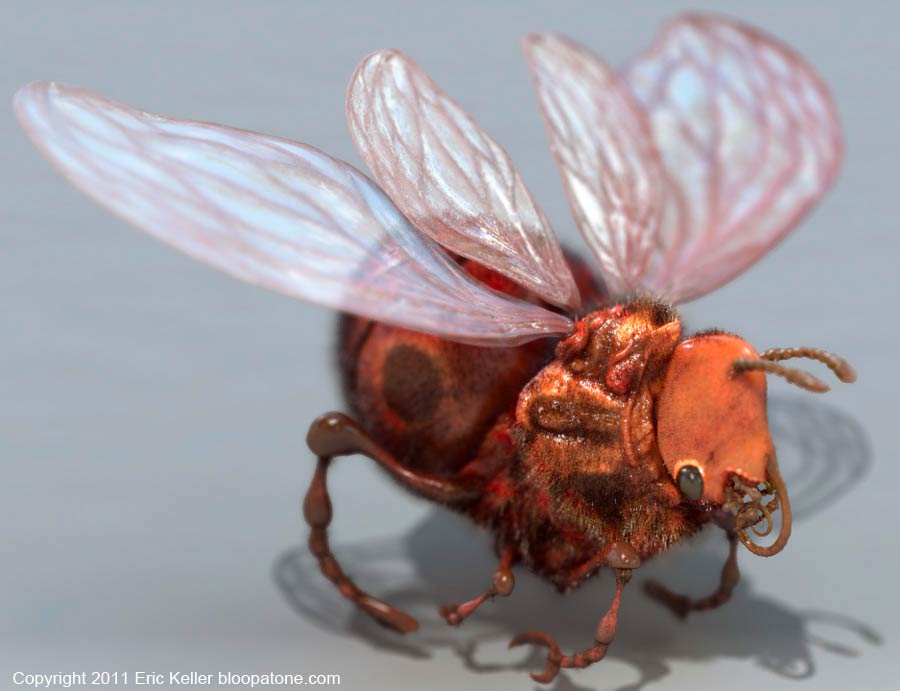 uglyBug_01.jpg