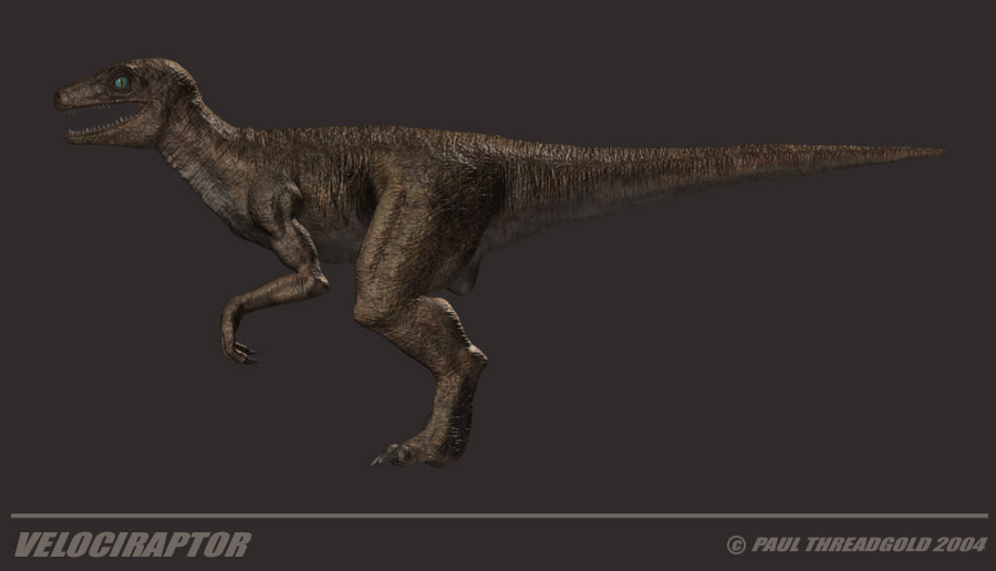 raptorsidetitled.jpg