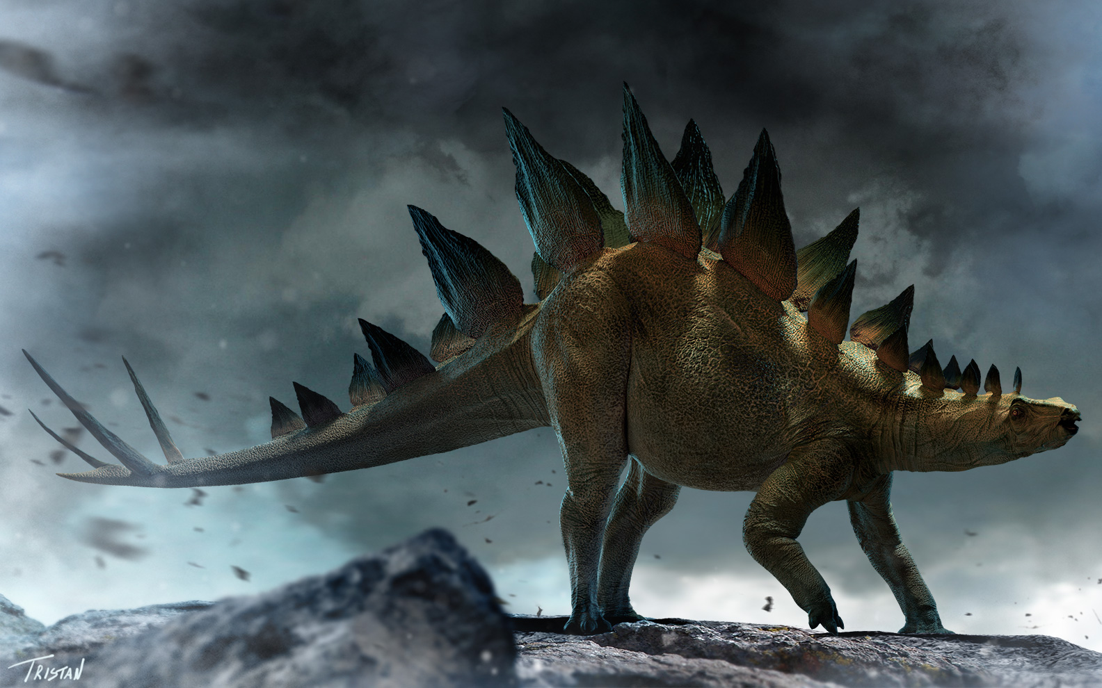 Stegosaurus_1.jpg