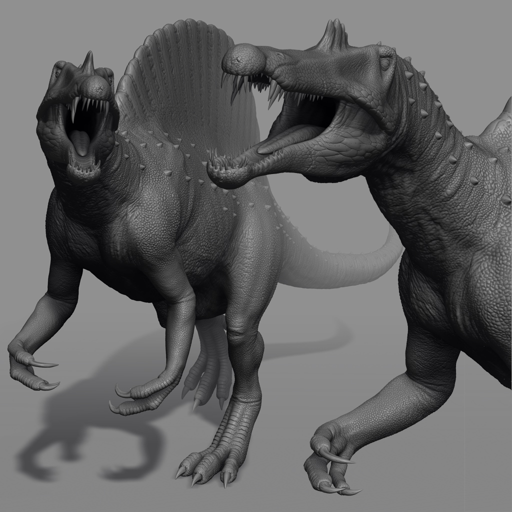 Spine_fill_0.jpg
