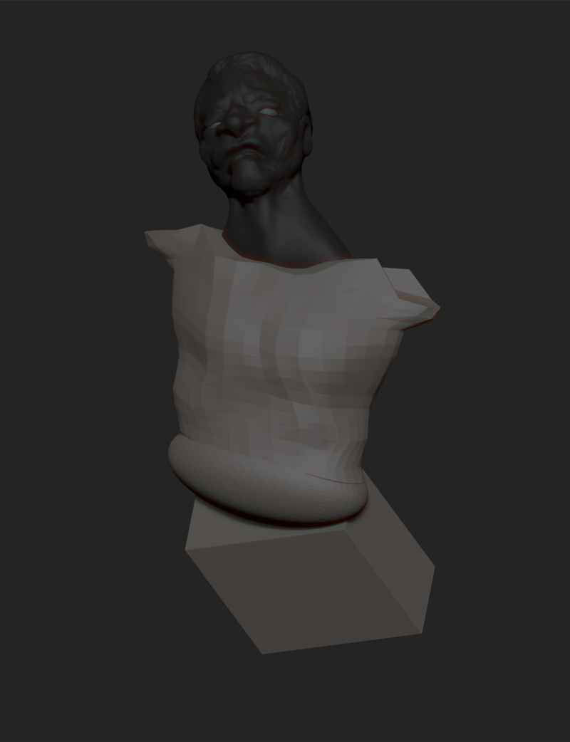 BOXER TORSO PELVIS 1.jpg