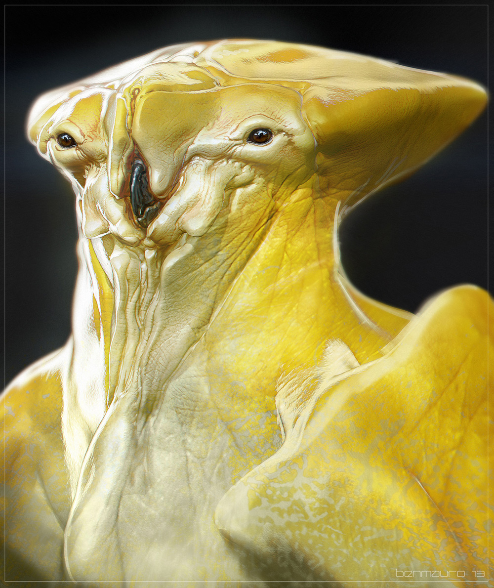 YELLOW_01bS_BM.jpg