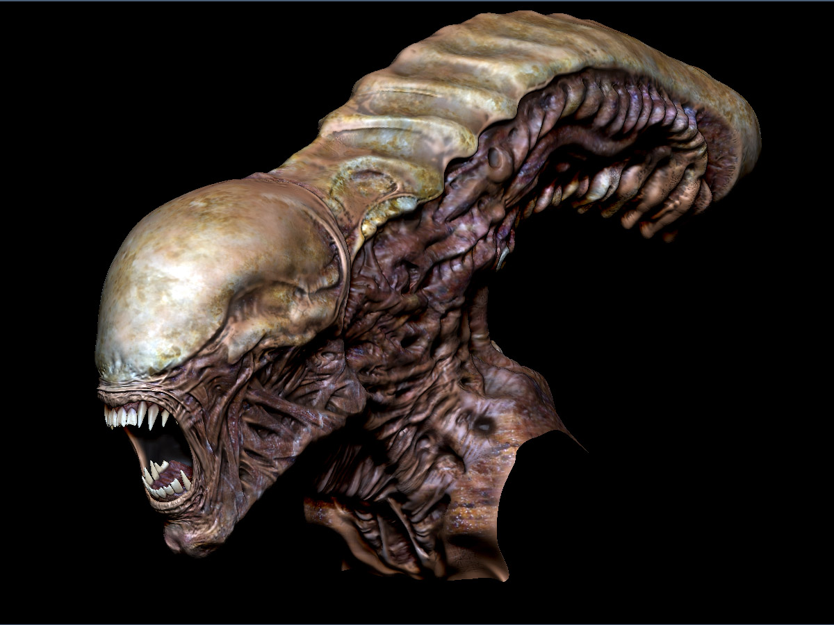 head.jpg