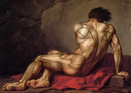 ecorche_tn.jpg