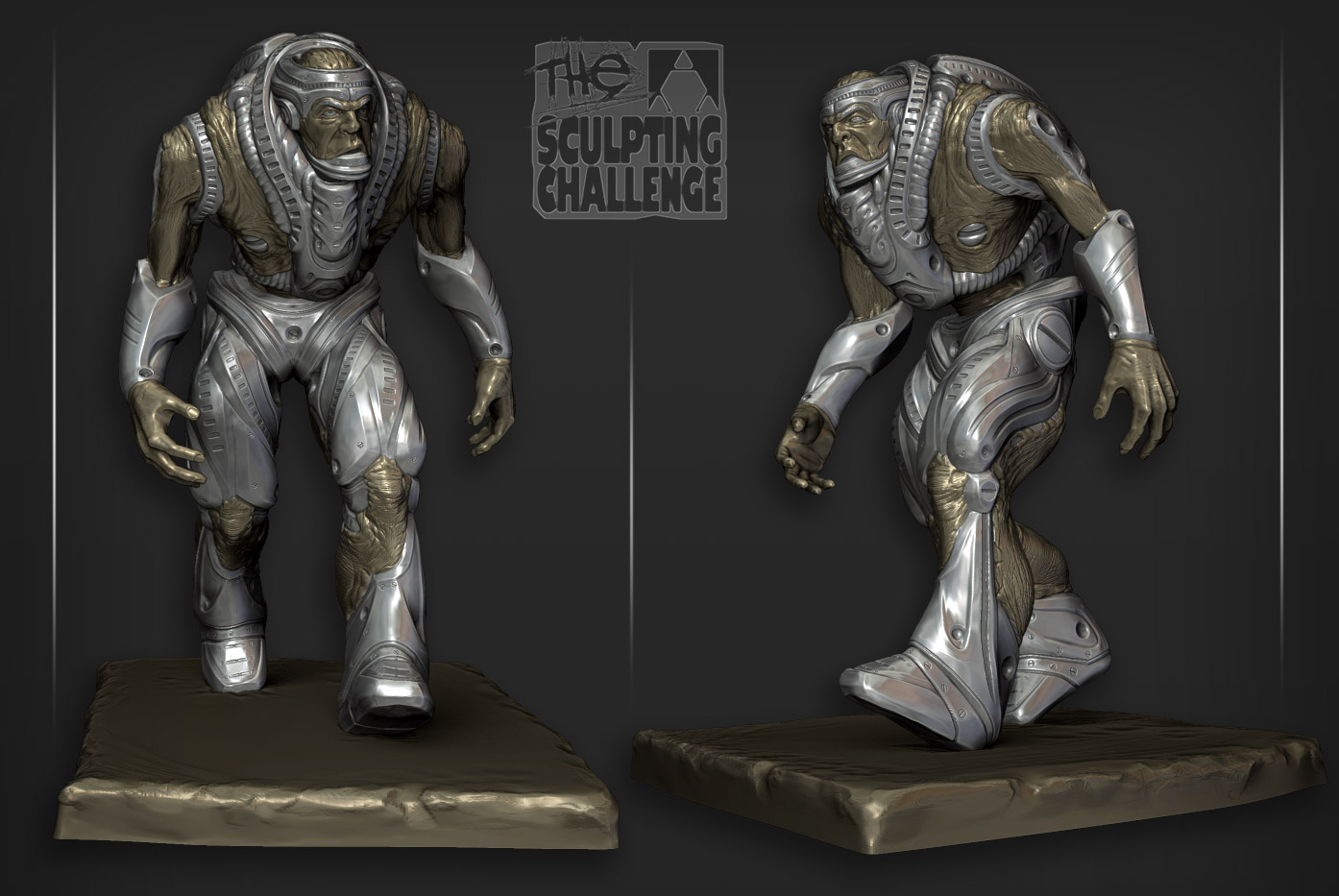 biomech_jrs02.jpg