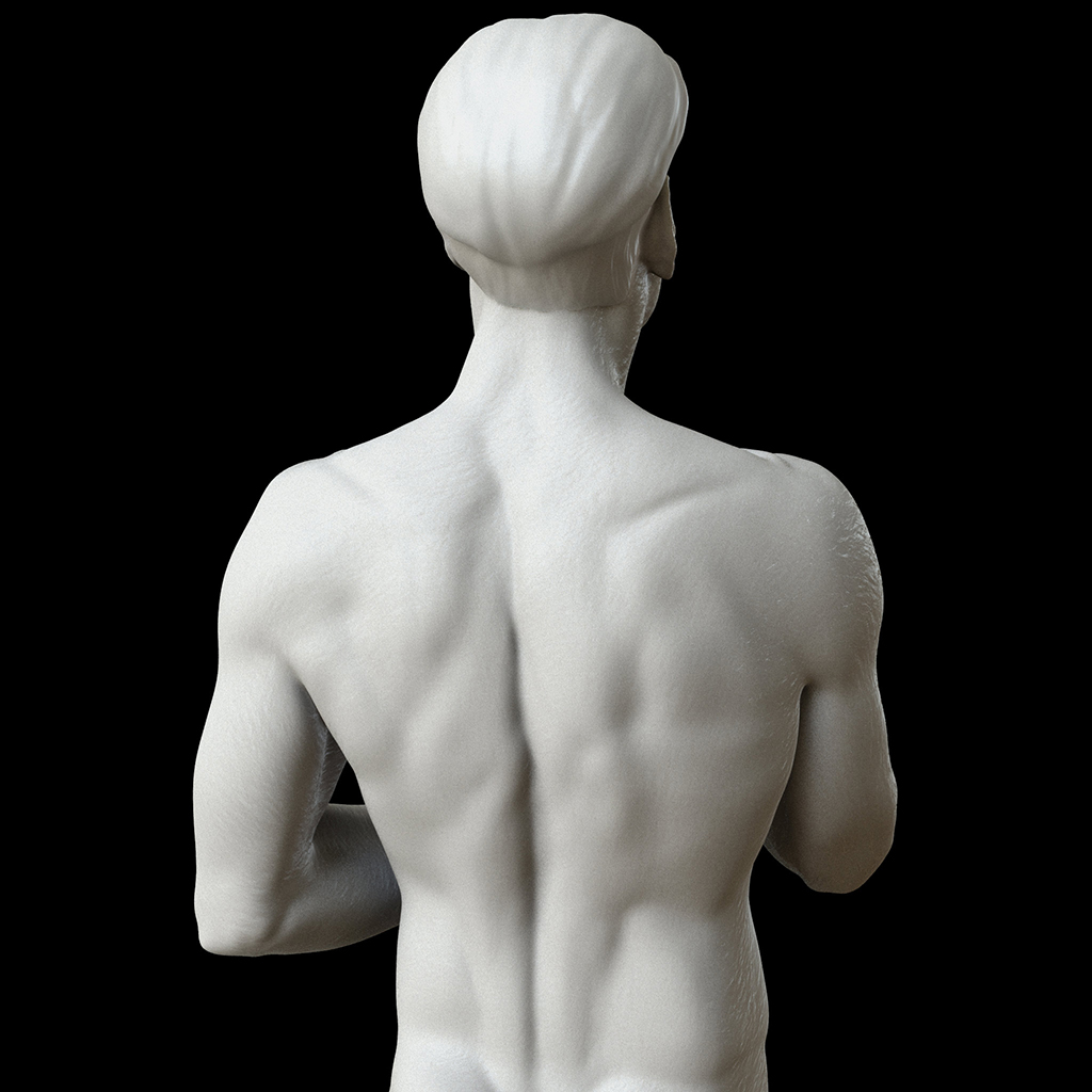 cesar_webback.jpg