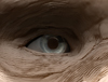 ecorcheFace_thumb.jpg