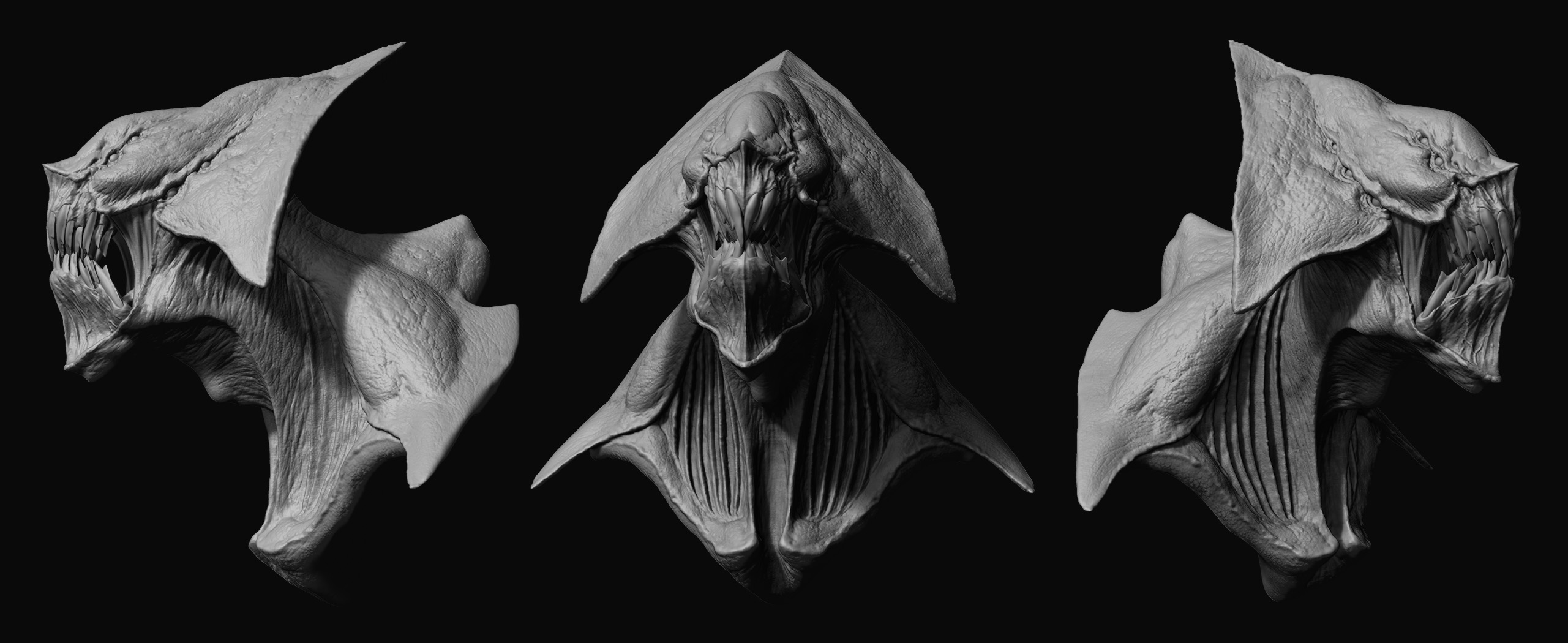 ray01bw.jpg
