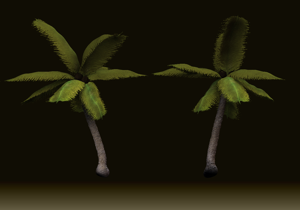 palm1.jpg