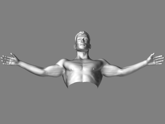 torso.jpg
