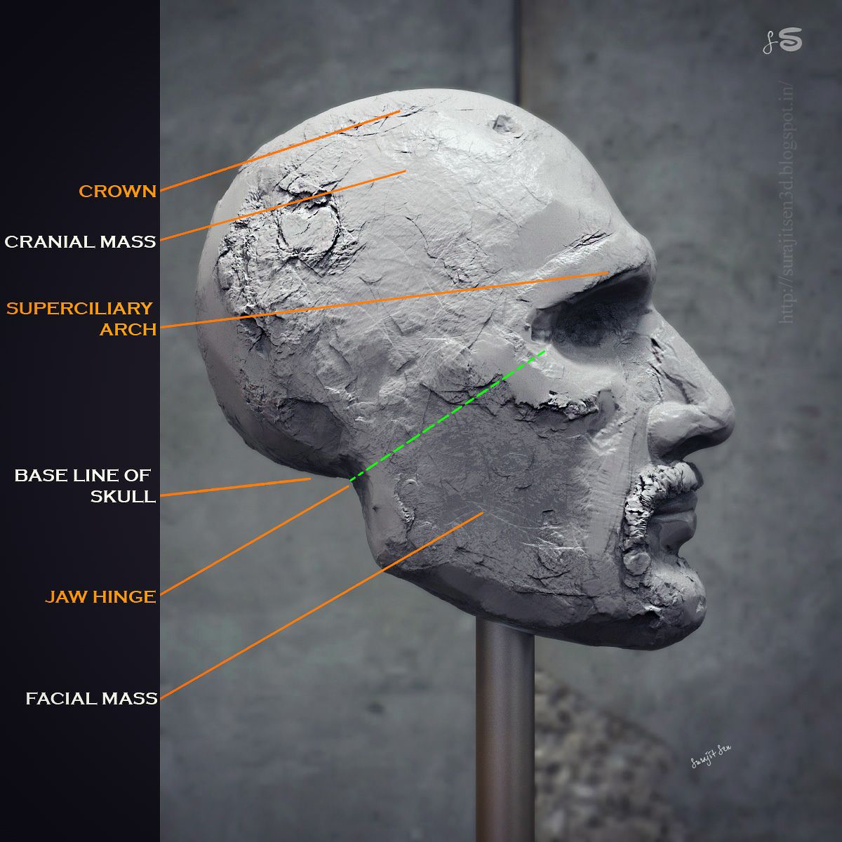 Base_line_human_head_SurajitSen_31052018_Insta.jpg