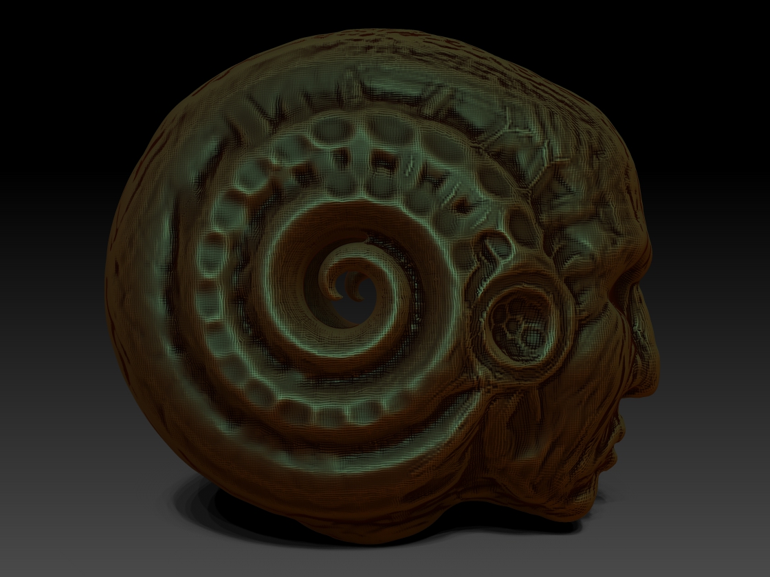 SpiralHead.jpg