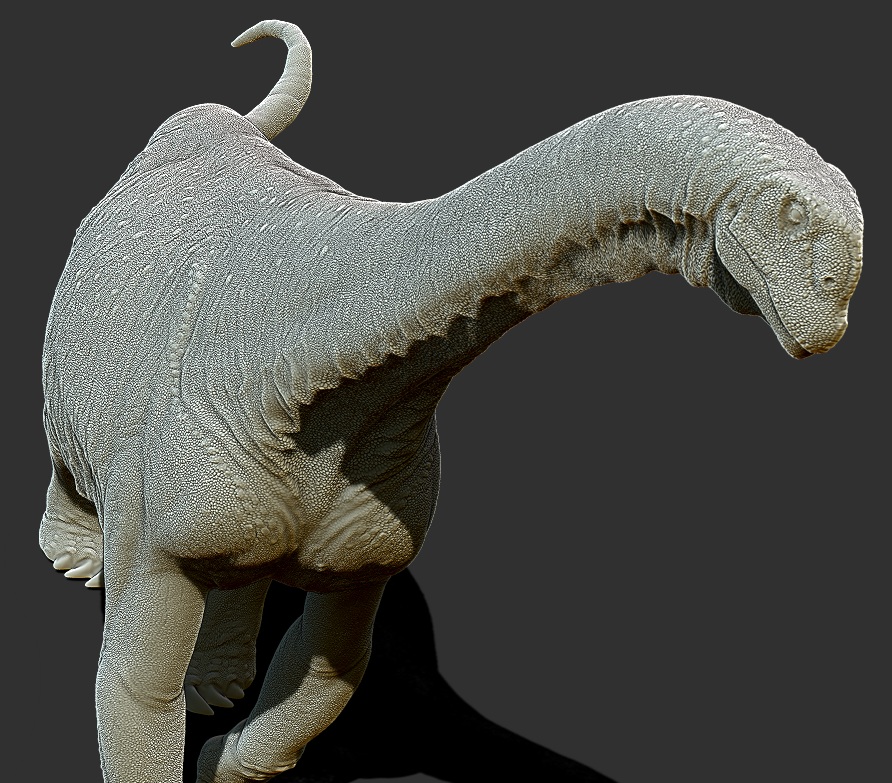 Camarasaurus5.jpg