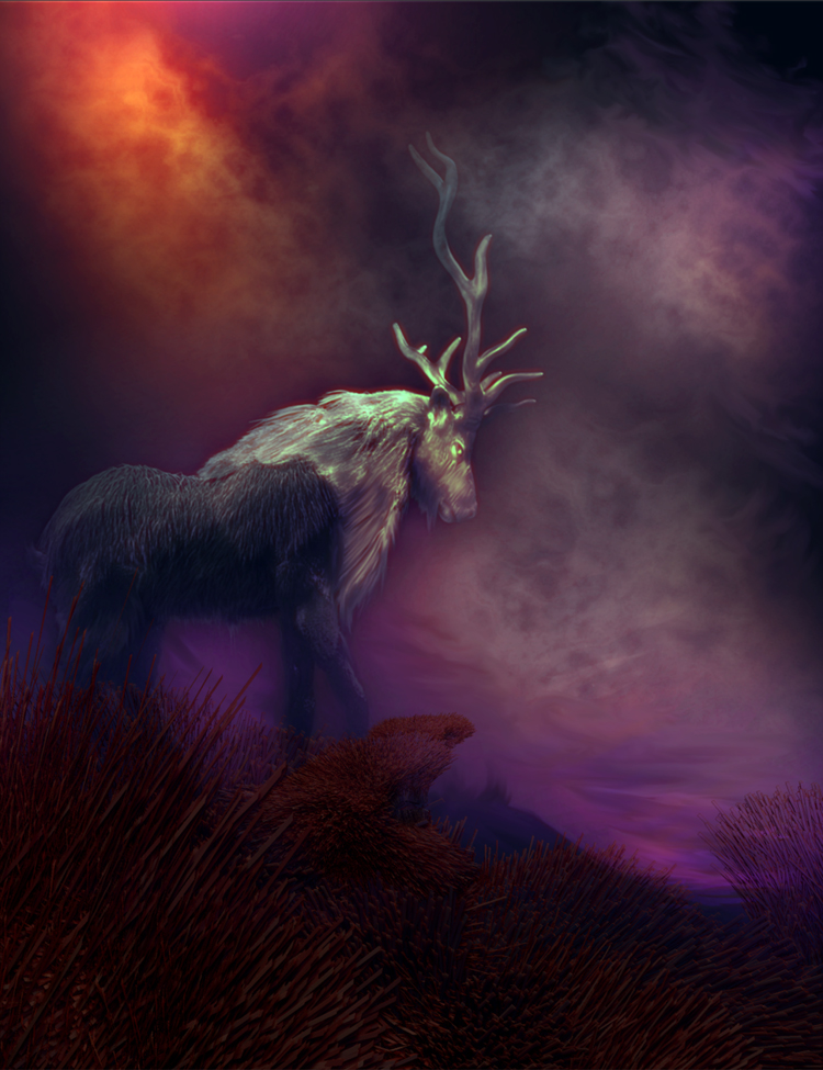 ELK 10.jpg