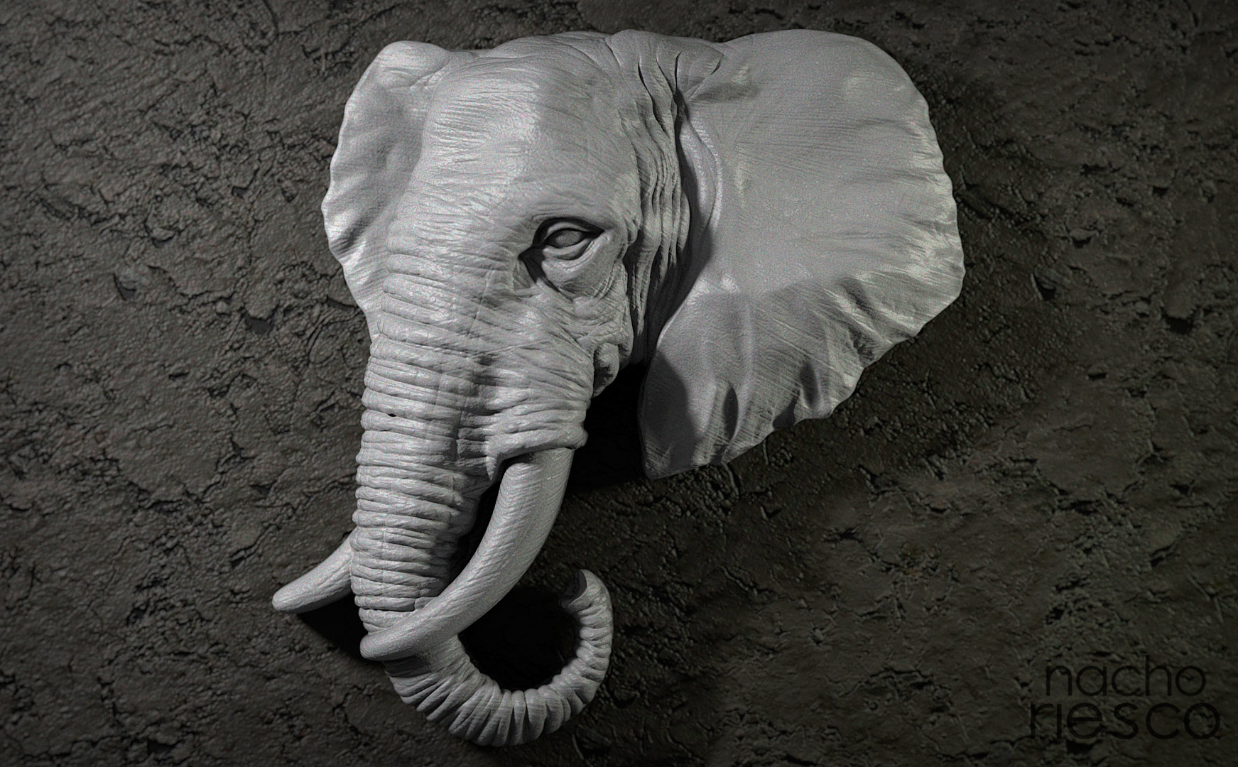 elefante_500k.jpg