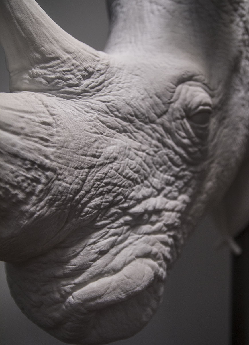 detail.jpg