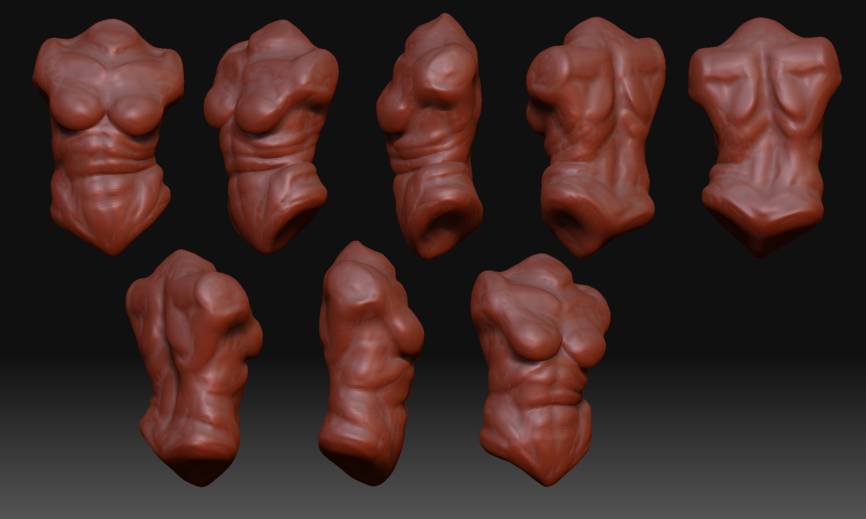 Torso2.jpg