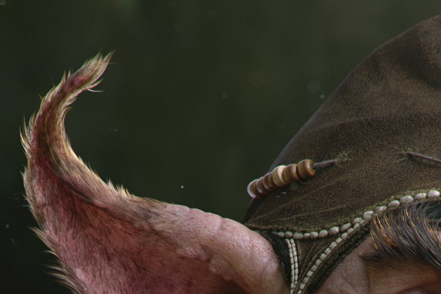 Close_UP_03.jpg