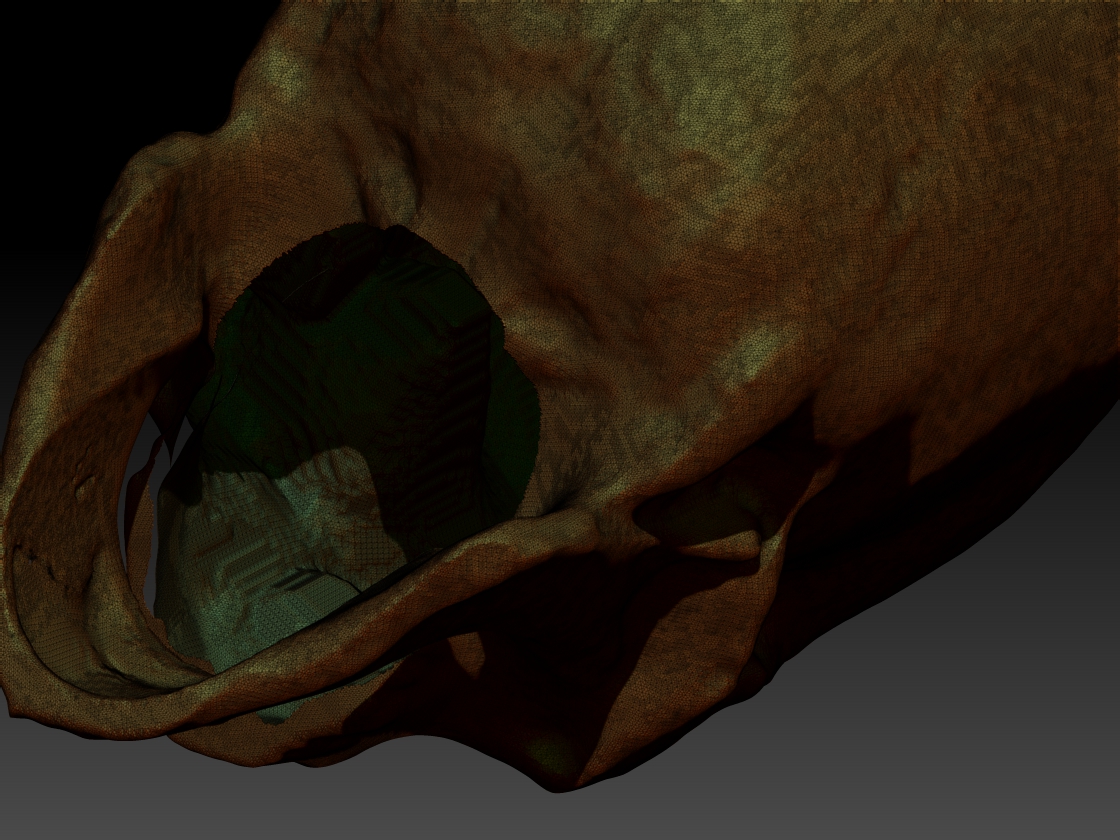 ZBrush Document.jpg