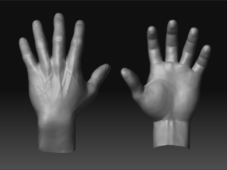 hand_new_01.jpg