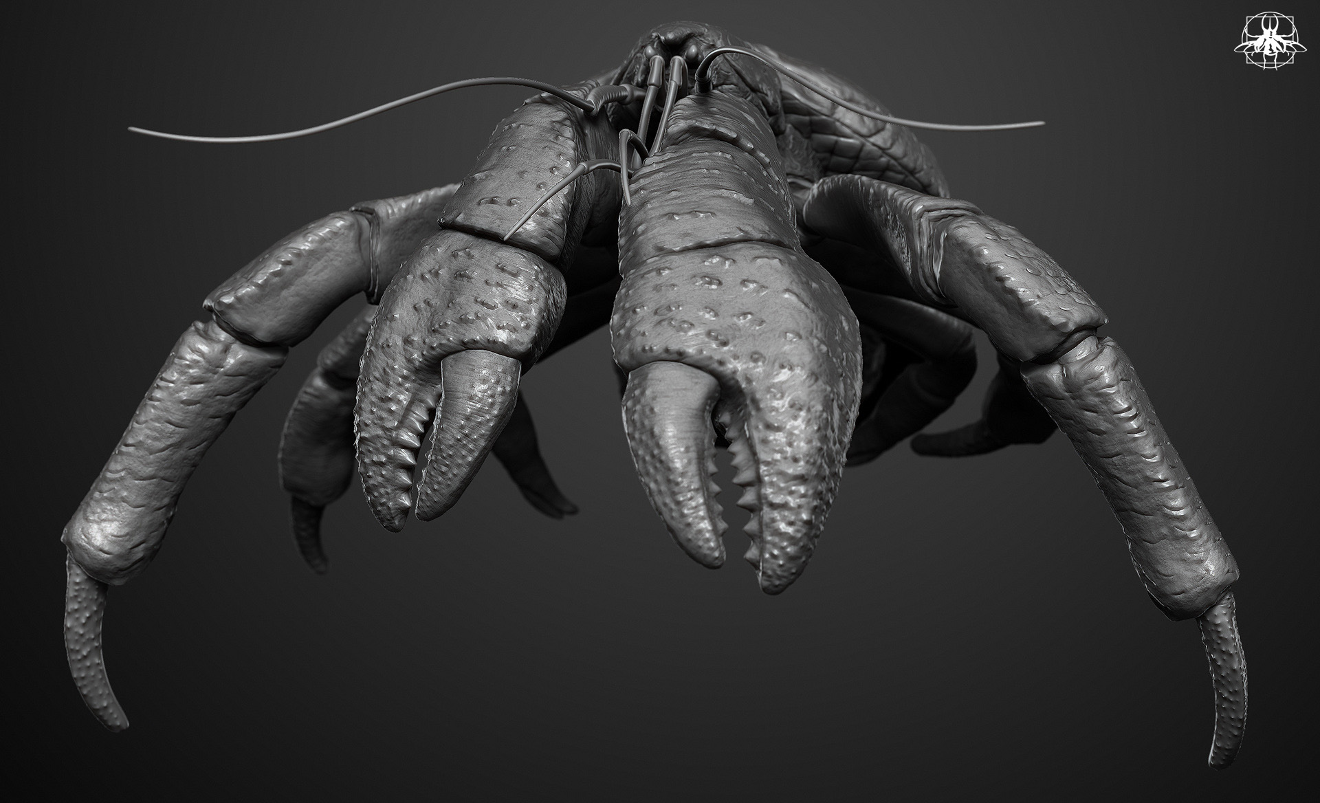 coconutCrab_02.jpg