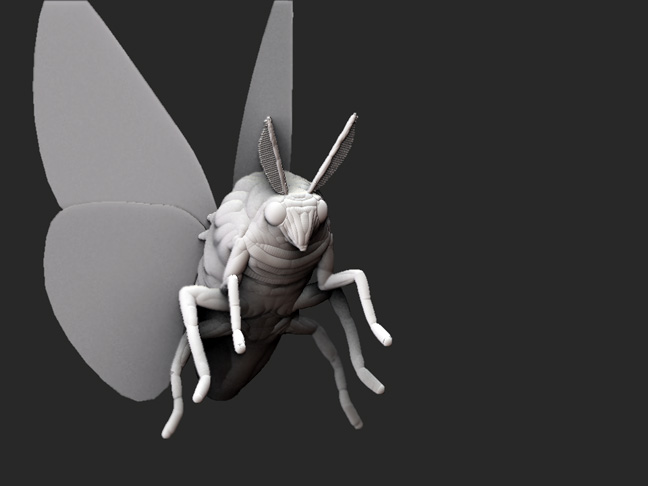 moth-doc3-2.jpg