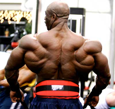 bodybuilder-joel-stubbs-back.jpg