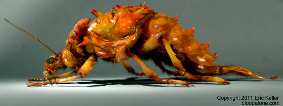 small_sfariBug_05.jpg