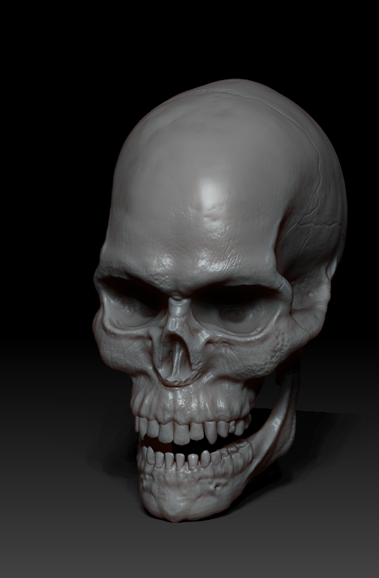 ZBrush Documentdfcvfr34sw.jpg