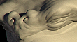 TZ.jpg