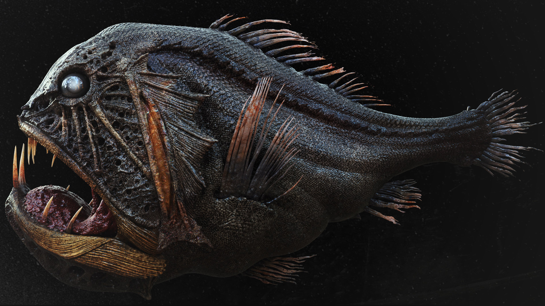 FangTooth_0004.jpg