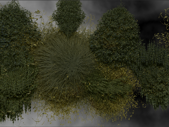 WATER PLANTS 5.jpg