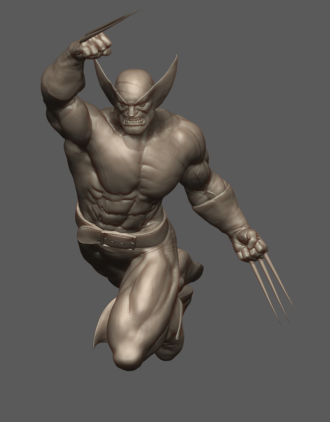 wolverine92305-for-web1.jpg