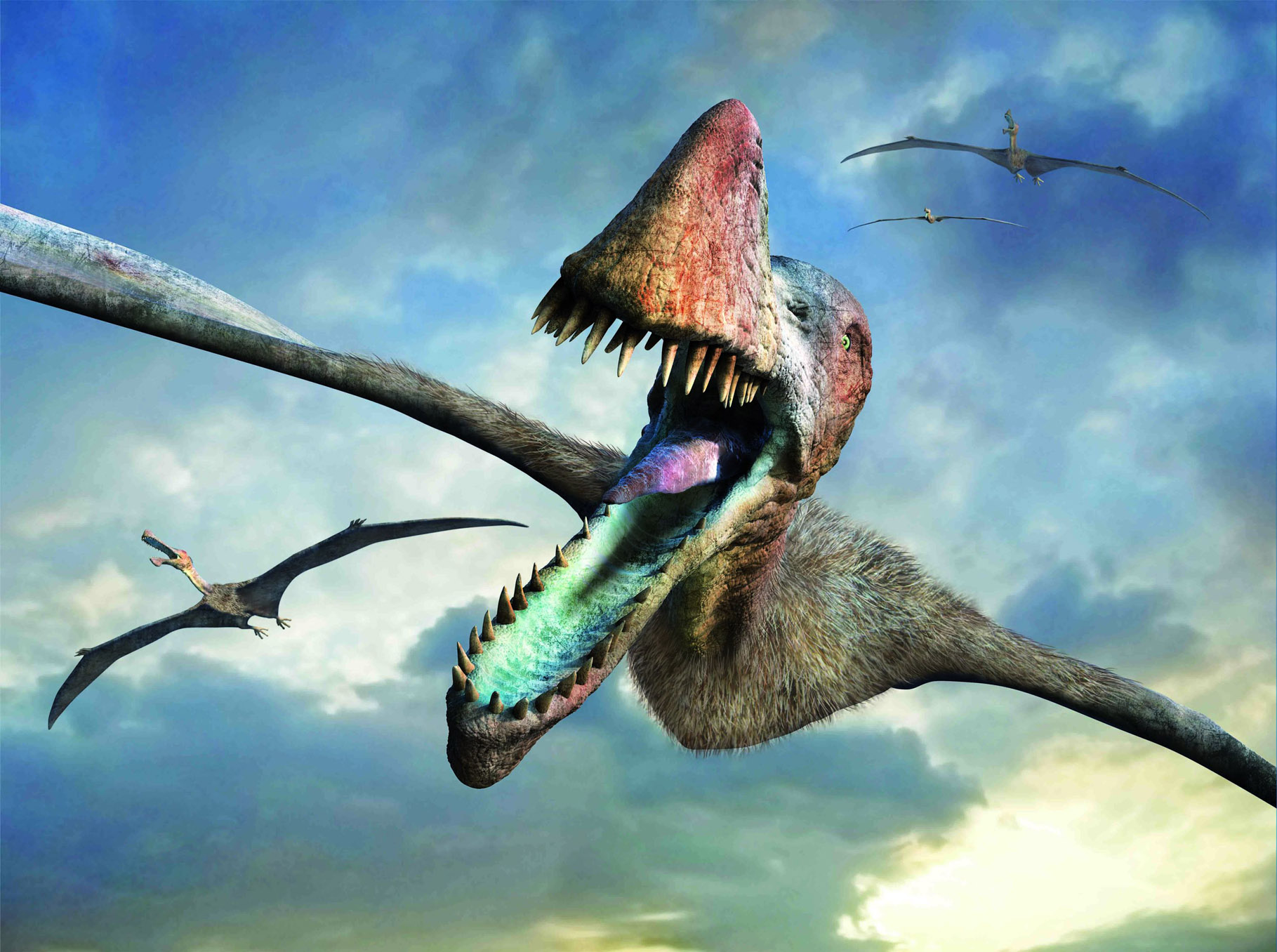 Птерадон. Птерозавры Юрского периода. Птерозавры Триасового периода. Орнитохейрус динозавр. Орнитохейрус АРК.