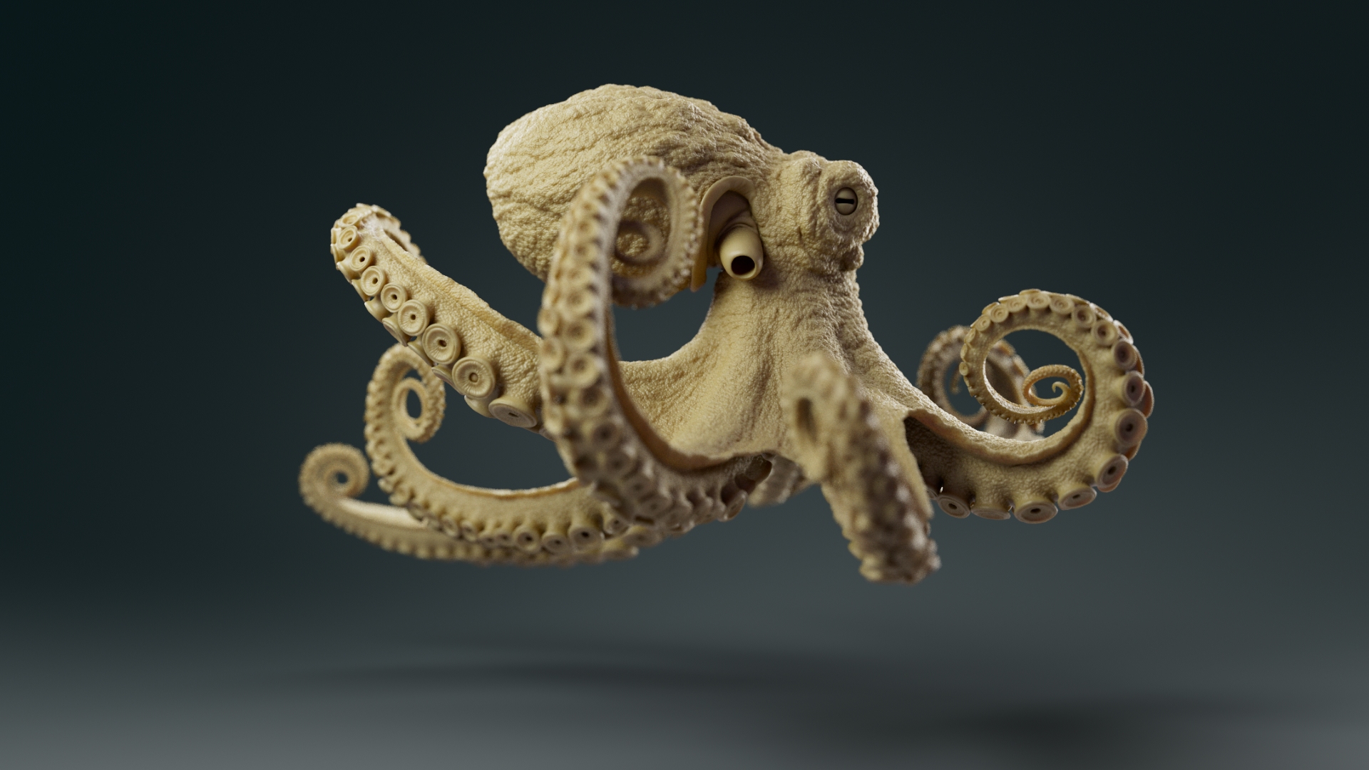 Octopus_model_turntableRig_SSS_ZBrushCentral_v021_0090.jpg