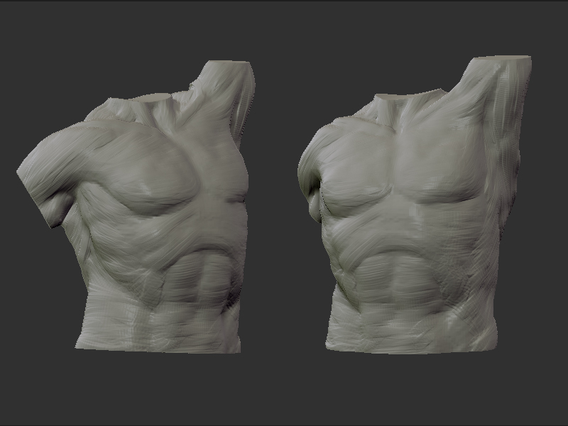 anatomical_study_09.jpg