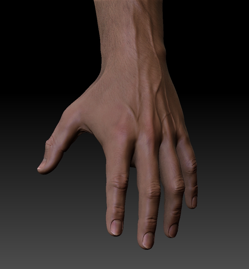 male_body_wip_141.jpg