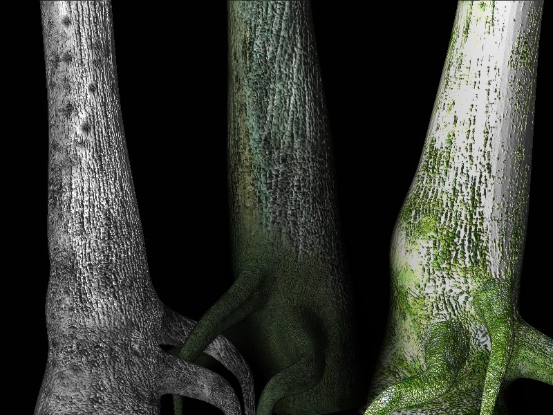 Z4_Tree.jpg
