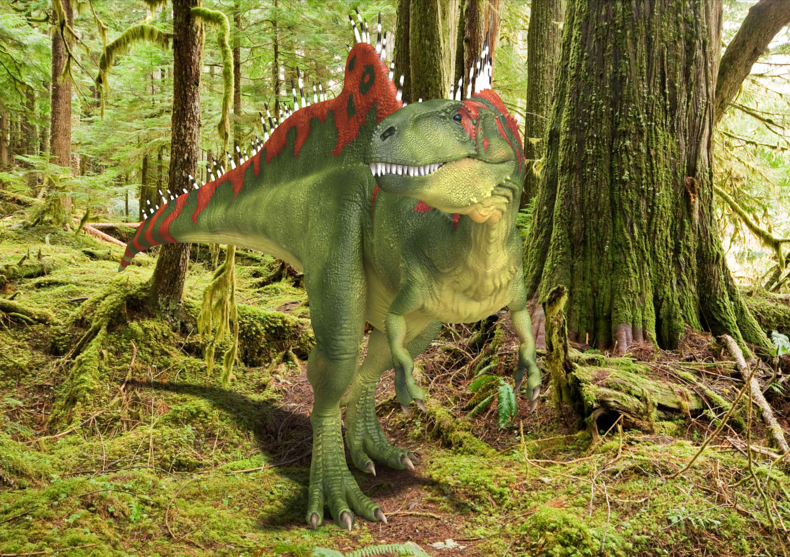 neovenator.jpg