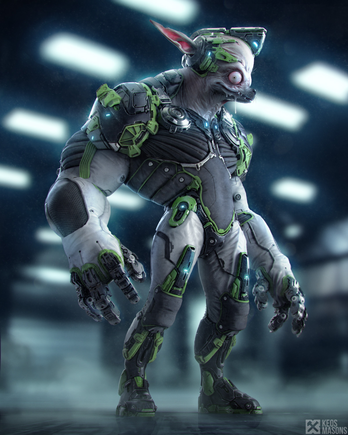megahuahua01.jpg