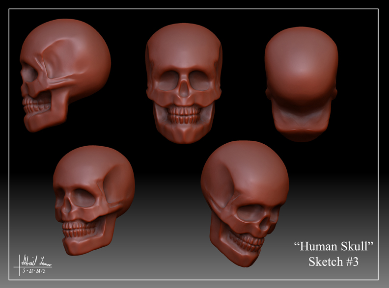 Human_Skull_Sketch_03.jpg