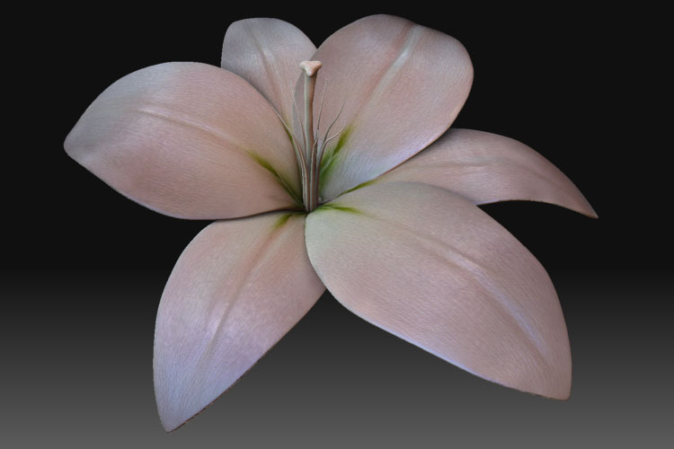 flower1.jpg