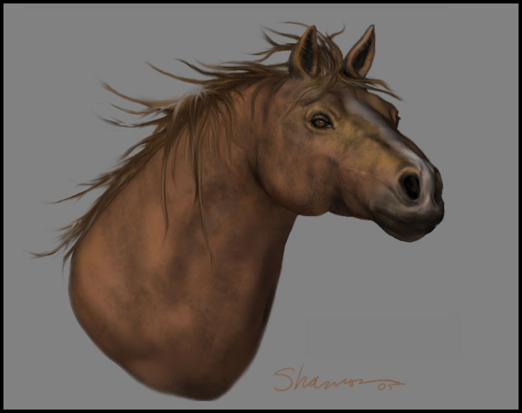 PaintedHorseHead.jpg