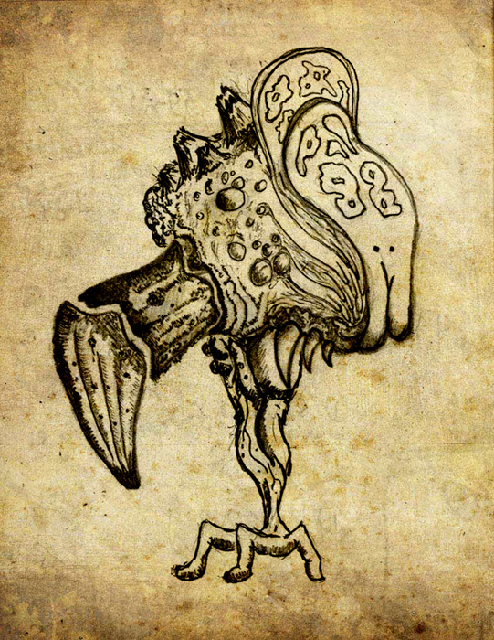 146.jpg