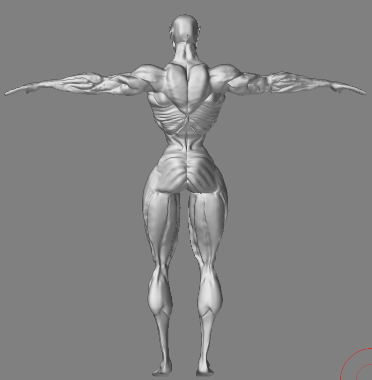 Back.jpg