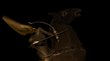 HORSE AND RIDER 28.jpg