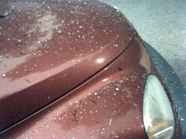 Ashfall.jpg
