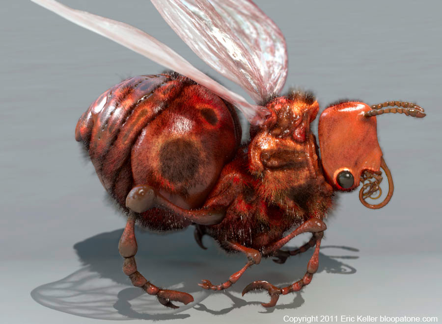 uglyBug_02.jpg
