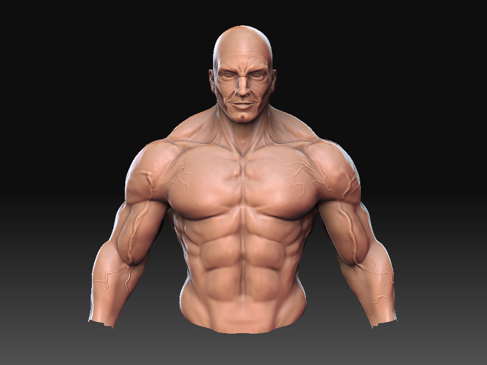 render1.jpg